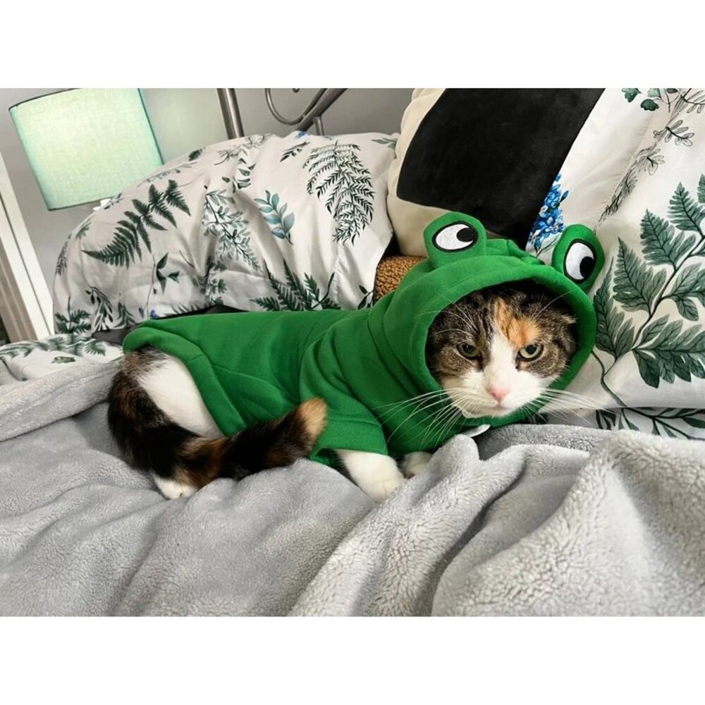 Green, frog hooded cat sweatshirt